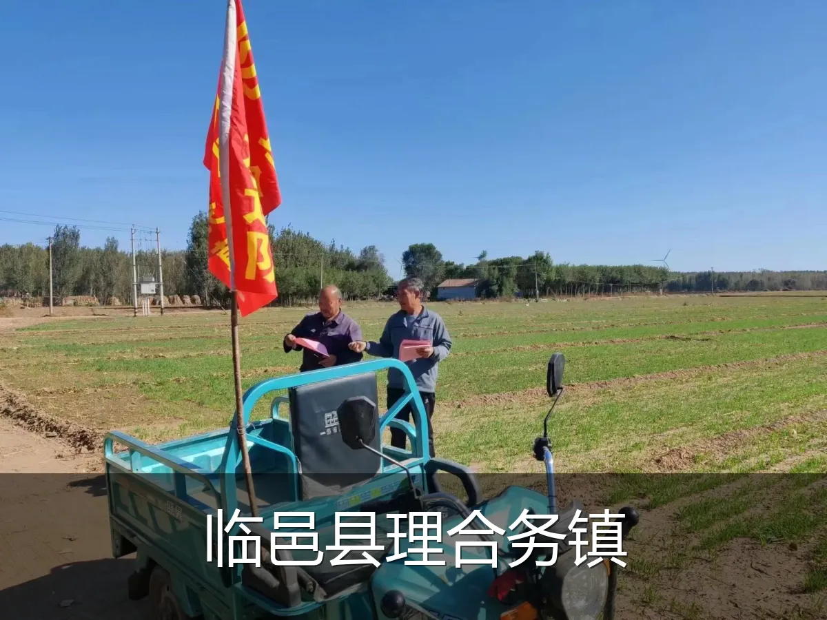 临邑县理合务镇